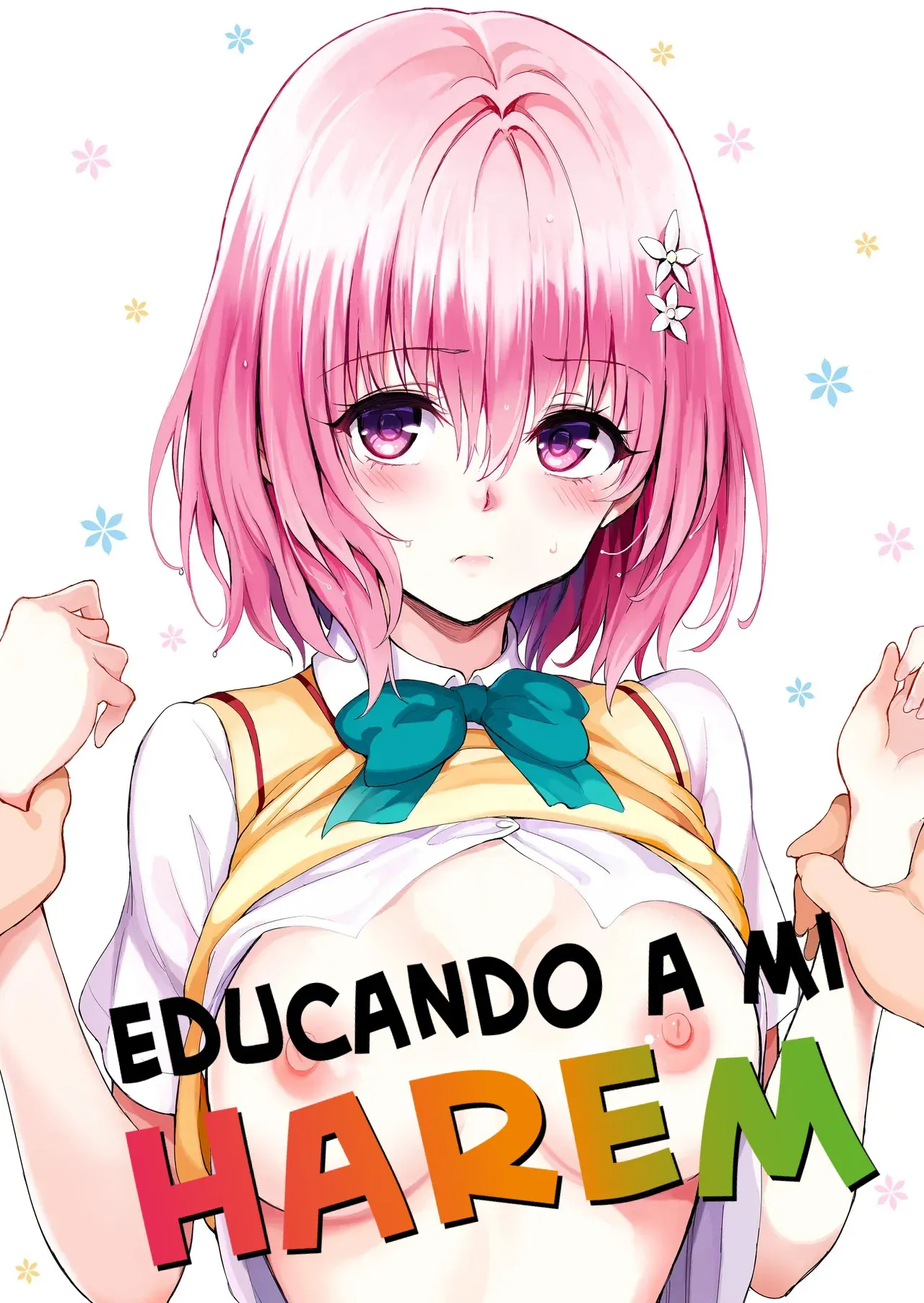 Educando A Mi Harem